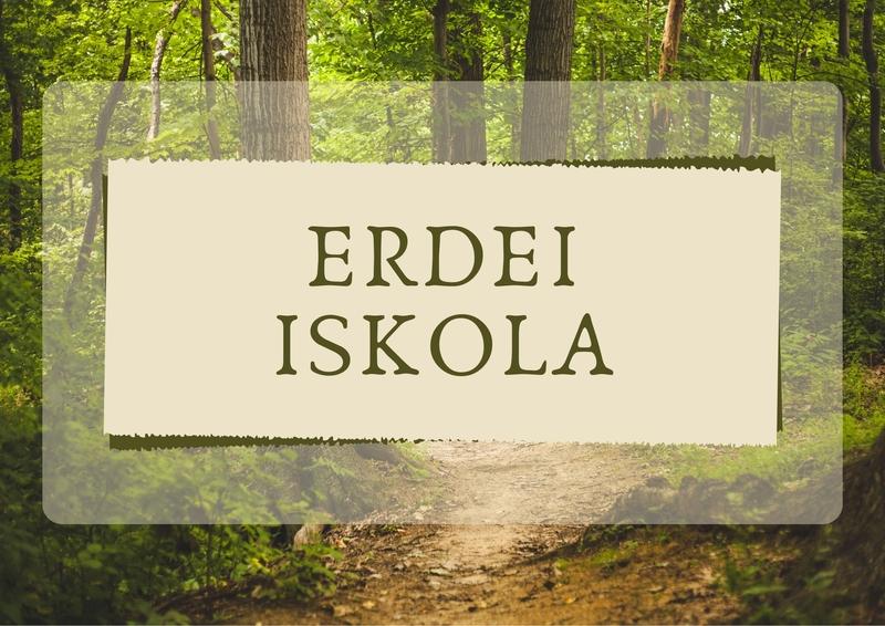 Erdei iskola 6.a osztály